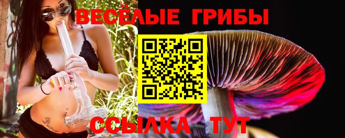 Галлюциногенные грибы Cubensis Зеленодольск