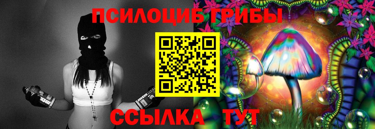 где найти   Вход с VPN  Зеленодольск  Псилоцибиновые грибы Cubensis  Галлюциногенные грибы Magic Shrooms 